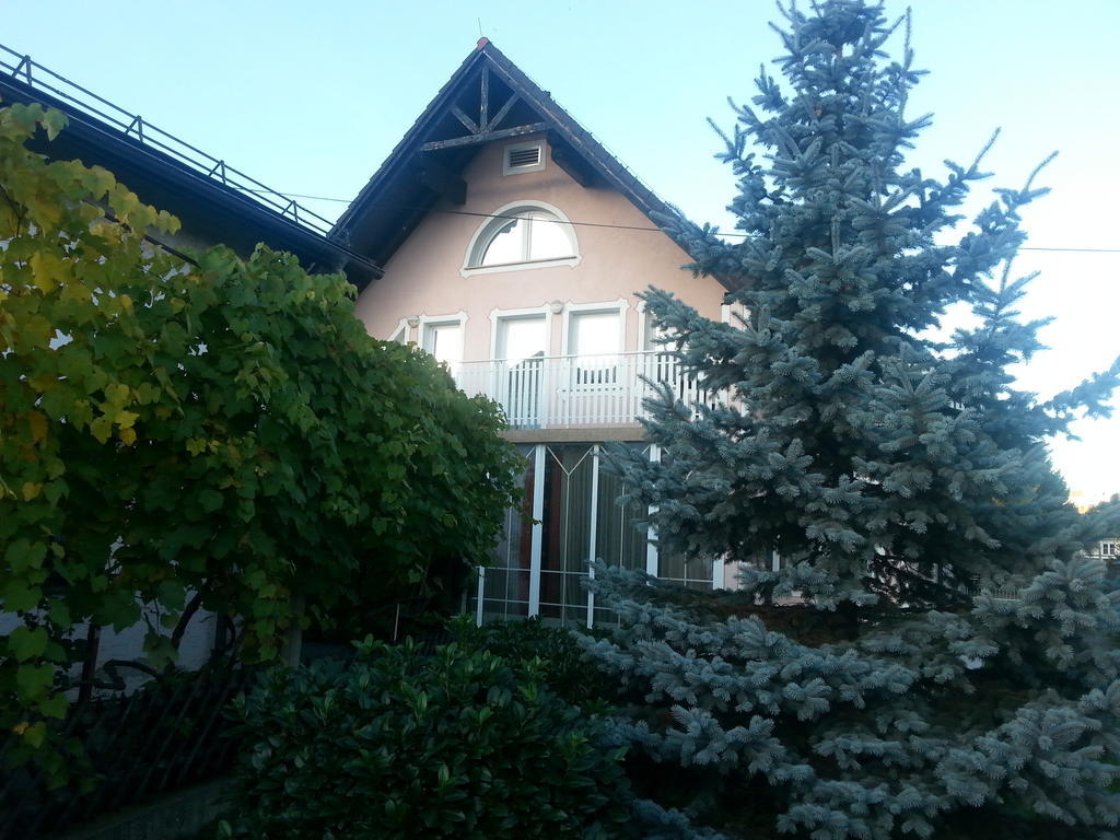 Penzion Zeleni Kakadu Maribor Exterior photo